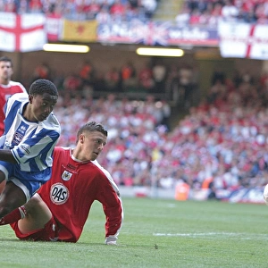Brighton & Hove Albion's Epic Play-off Final: 2004 Championship Promotion Victory