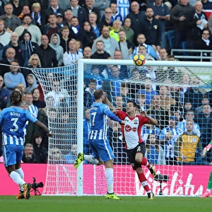 Brighton & Hove Albion's Glenn Murray Scores Dramatic Equalizer Against Southampton (29OCT17)