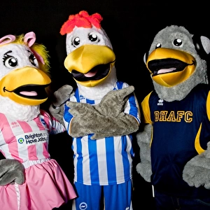 Brighton and Hove Albion's Gully, Sammy, and Sally: The Iconic Trio