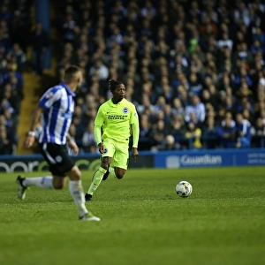 Brighton and Hove Albion's Play-Off Thriller: First Leg vs. Sheffield Wednesday at Hillsborough (May 2016)
