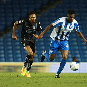 Brighton & Hove Albion's Rohan Ince in Action against Colchester United during the EFL Cup First Round, 2016