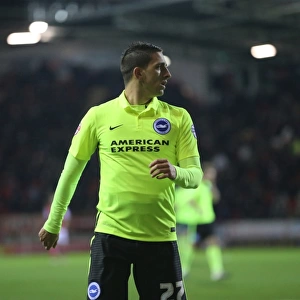 Brighton and Hove Albion's Triumph over Rotherham United in Sky Bet Championship (12 January 2016)