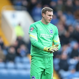 David Stockdale in Action: Sheffield Wednesday vs. Brighton and Hove Albion, Sky Bet Championship 2015 - Goalkeeper's Dramatic Performance