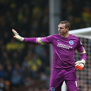 David Stockdale: Intense Concentration at Carrow Road - Norwich City vs. Brighton and Hove Albion, 2014