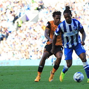 Gaetan Bong Defends for Brighton and Hove Albion Against Hull City, Sky Bet Championship 2015