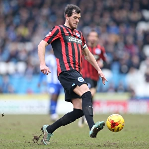 Gordon Greer Leads Brighton and Hove Albion in Championship Battle against Sheffield Wednesday (14FEB15)