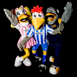 Gully, Sammy, and Sally: Brighton & Hove Albion's Iconic Trio