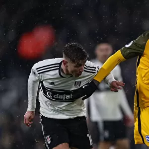 Intense Premier League Showdown: Fulham vs. Brighton and Hove Albion (29 JAN 19)