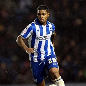 Liam Bridcutt: The Focused and Determined Force of Brighton & Hove Albion FC