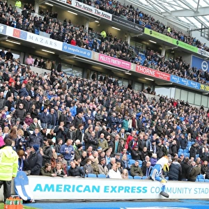 Passionate Showdown: Brighton and Hove Albion vs. Norwich City at American Express Community Stadium (3rd April 2015)