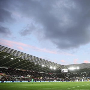 Premier League Showdown: Swansea City vs. Brighton and Hove Albion at Liberty Stadium (Nov. 4, 2017)