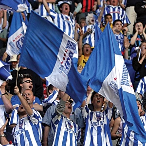 Withdean Era: A Sea of Supporters - Brighton & Hove Albion FC Crowd Shots