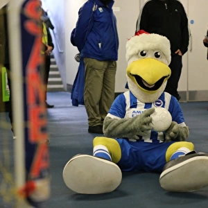 Young Seagulls Christmas Party 2015 at American Express Community Stadium