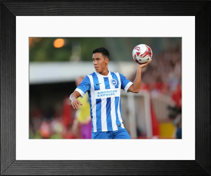 Framed Print : Brighton & Hove Albion FC: Pre-Season Training July 2014