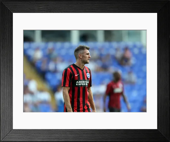Framed Print : Brighton & Hove Albion FC: Pre-Season Training July 2014 Framed Print : Brighton & Hove Albion FC: Pre-Season Training July 2014