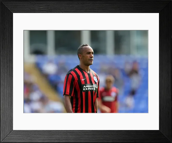 Framed Print : Brighton & Hove Albion FC: Pre-Season Training July 2014 Framed Print : Brighton & Hove Albion FC: Pre-Season Training July 2014