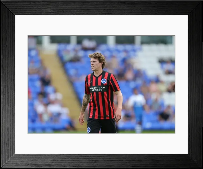 Framed Print : Brighton & Hove Albion FC: Pre-Season Training July 2014 Framed Print : Brighton & Hove Albion FC: Pre-Season Training July 2014