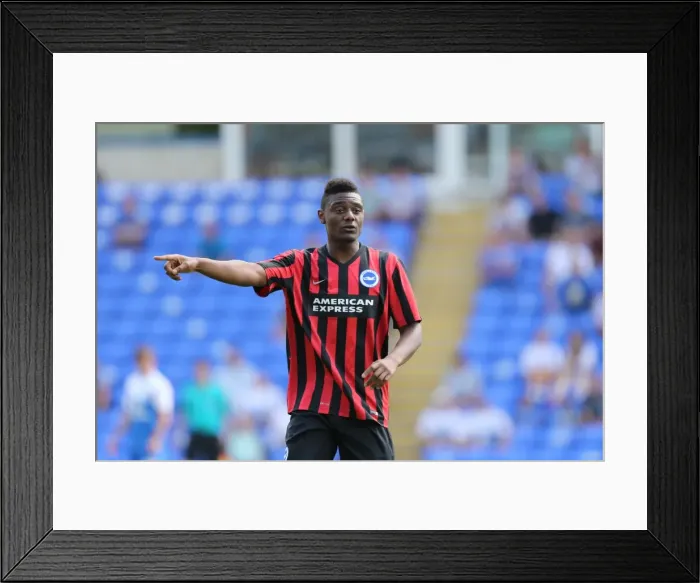 Framed Print : Brighton & Hove Albion FC: Pre-Season Training July 2014 Framed Print : Brighton & Hove Albion FC: Pre-Season Training July 2014