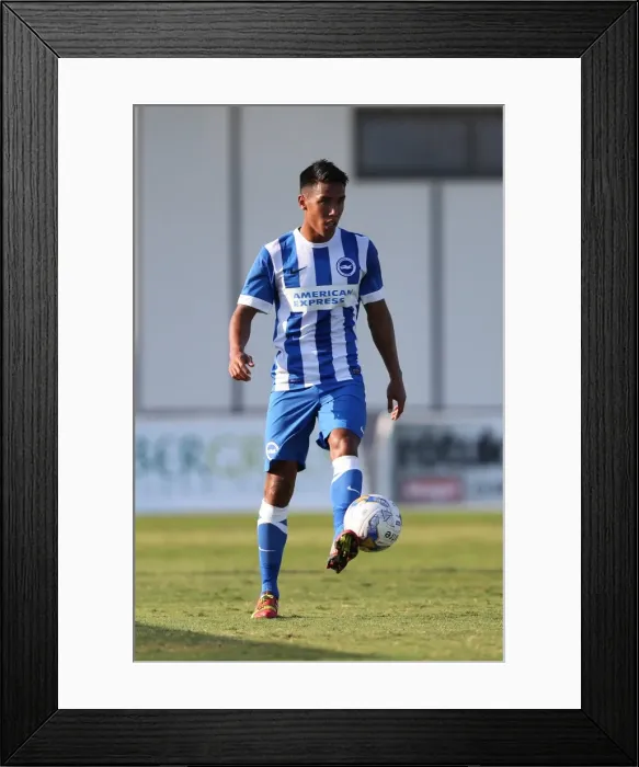 Framed Print : Brighton & Hove Albion FC: Pre-Season Training July 2014