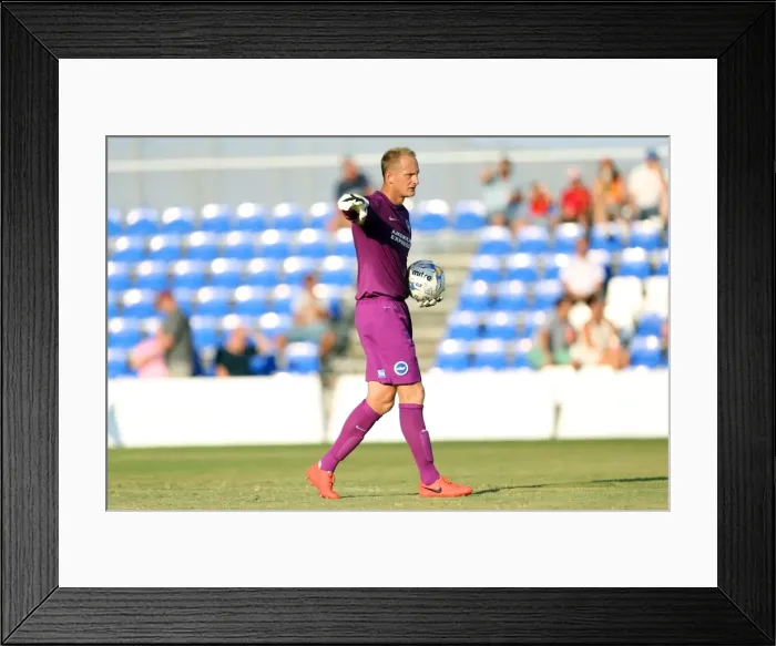 Framed Print : Brighton & Hove Albion FC: Pre-Season Training July 2014 Framed Print : Brighton & Hove Albion FC: Pre-Season Training July 2014
