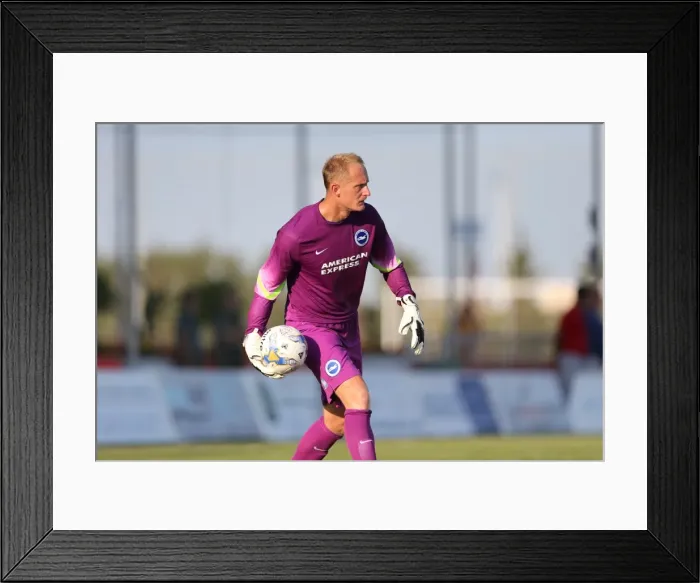 Framed Print : Brighton & Hove Albion FC: Pre-Season Training July 2014