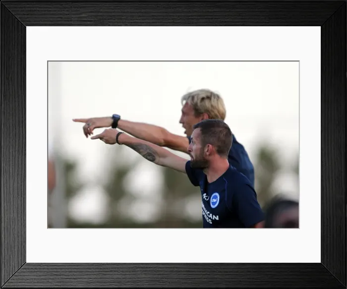 Framed Print : Brighton & Hove Albion FC: Pre-Season Training July 2014 Framed Print : Brighton & Hove Albion FC: Pre-Season Training July 2014