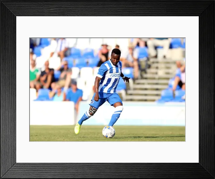 Framed Print : Brighton & Hove Albion FC: Pre-Season Training July 2014 Framed Print : Brighton & Hove Albion FC: Pre-Season Training July 2014