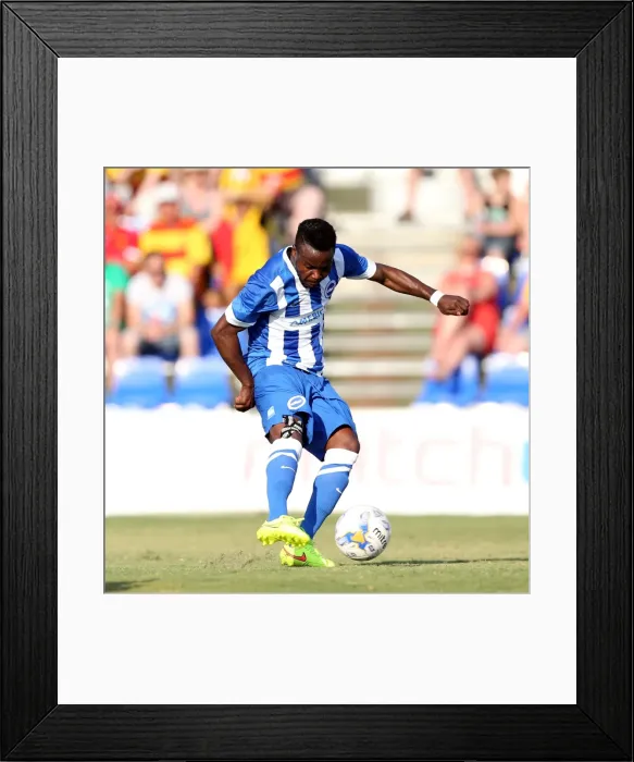 Framed Print : Brighton & Hove Albion FC: Pre-Season Training July 2014 Framed Print : Brighton & Hove Albion FC: Pre-Season Training July 2014