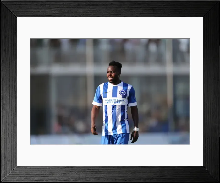Framed Print : Brighton & Hove Albion FC: Pre-Season Training July 2014 Framed Print : Brighton & Hove Albion FC: Pre-Season Training July 2014