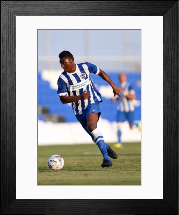 Framed Print : Brighton & Hove Albion FC: Pre-Season Training July 2014 Framed Print : Brighton & Hove Albion FC: Pre-Season Training July 2014