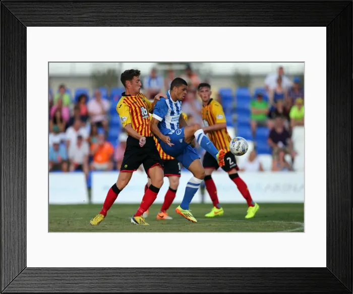 Framed Print : Brighton & Hove Albion FC: Pre-Season Training July 2014 Framed Print : Brighton & Hove Albion FC: Pre-Season Training July 2014