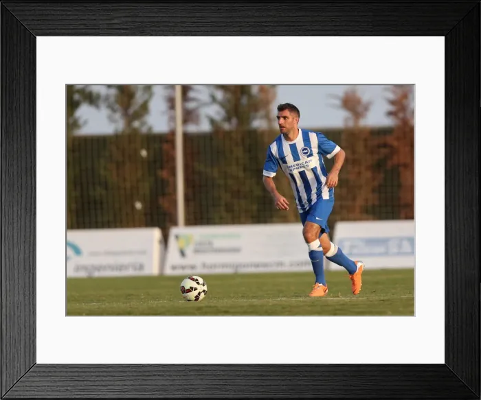 Framed Print : Brighton & Hove Albion FC: Pre-Season Training July 2014