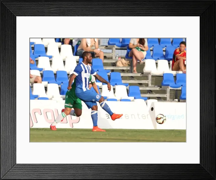 Framed Print : Brighton & Hove Albion FC: Pre-Season Training July 2014 Framed Print : Brighton & Hove Albion FC: Pre-Season Training July 2014