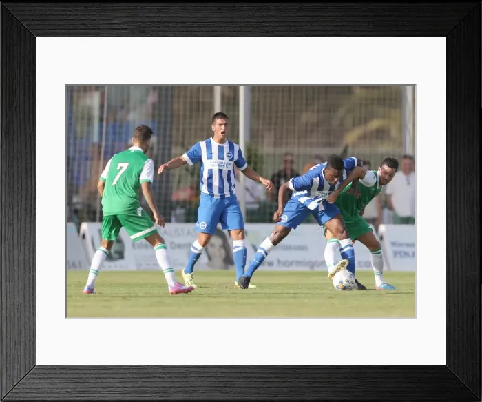 Framed Print : Brighton & Hove Albion FC: Pre-Season Training July 2014