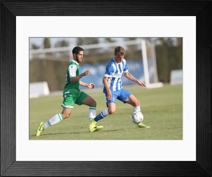 Framed Print : Brighton & Hove Albion FC: Pre-Season Training July 2014