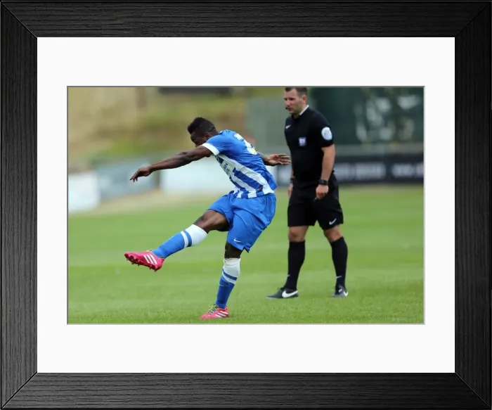 Framed Print : Brighton & Hove Albion FC: Pre-Season Training July 2014