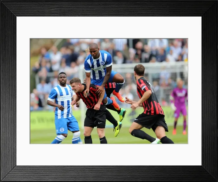 Framed Print : Brighton & Hove Albion FC: Pre-Season Training July 2014 Framed Print : Brighton & Hove Albion FC: Pre-Season Training July 2014