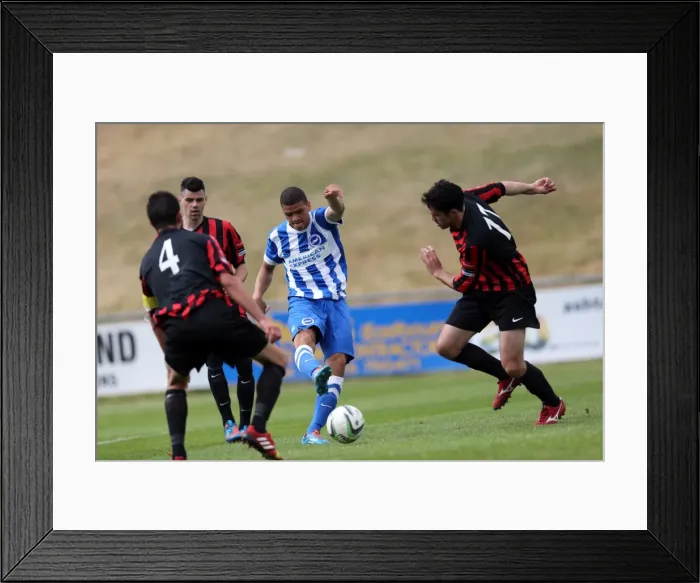 Framed Print : Brighton & Hove Albion FC: Pre-Season Training July 2014 Framed Print : Brighton & Hove Albion FC: Pre-Season Training July 2014