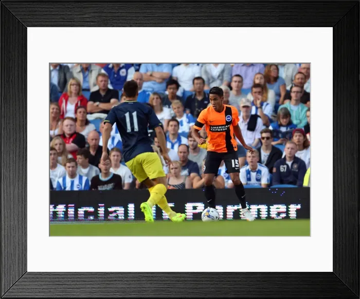 Framed Print : Brighton & Hove Albion FC: Pre-Season Training July 2014 Framed Print : Brighton & Hove Albion FC: Pre-Season Training July 2014