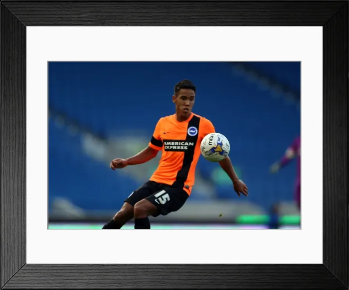 Framed Print : Brighton & Hove Albion FC: Pre-Season Training July 2014 Framed Print : Brighton & Hove Albion FC: Pre-Season Training July 2014