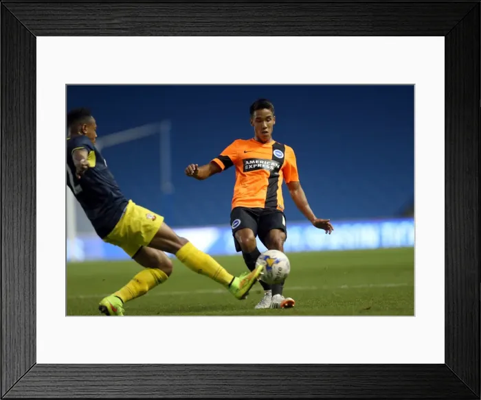 Framed Print : Brighton & Hove Albion FC: Pre-Season Training July 2014 Framed Print : Brighton & Hove Albion FC: Pre-Season Training July 2014