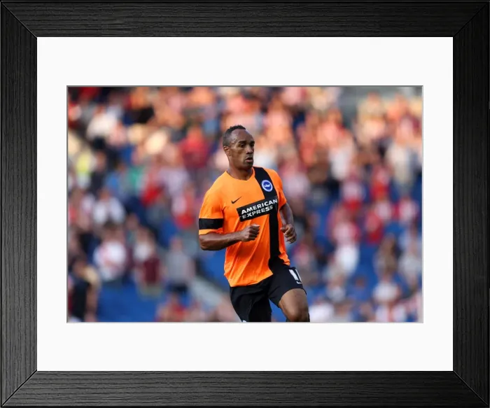 Framed Print : Brighton & Hove Albion FC: Pre-Season Training July 2014 Framed Print : Brighton & Hove Albion FC: Pre-Season Training July 2014