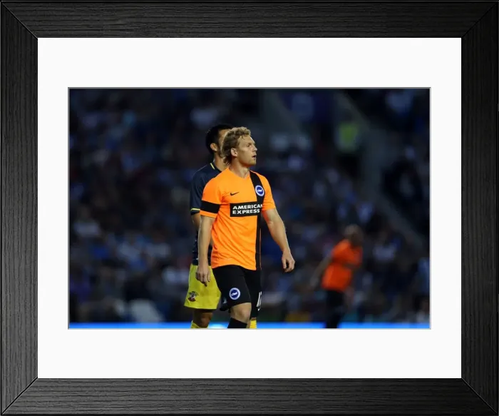 Framed Print : Brighton & Hove Albion FC: Pre-Season Training July 2014 Framed Print : Brighton & Hove Albion FC: Pre-Season Training July 2014