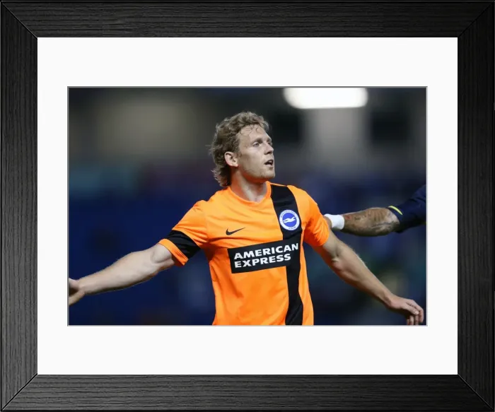 Framed Print : Brighton & Hove Albion FC: Pre-Season Training July 2014 Framed Print : Brighton & Hove Albion FC: Pre-Season Training July 2014