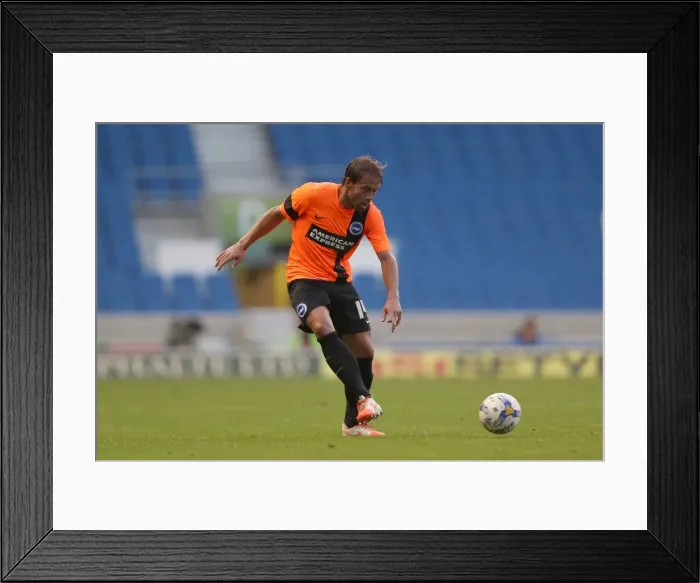 Framed Print : Brighton & Hove Albion FC: Pre-Season Training July 2014 Framed Print : Brighton & Hove Albion FC: Pre-Season Training July 2014