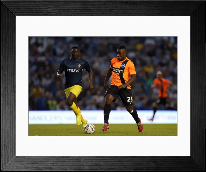 Framed Print : Brighton & Hove Albion FC: Pre-Season Training July 2014
