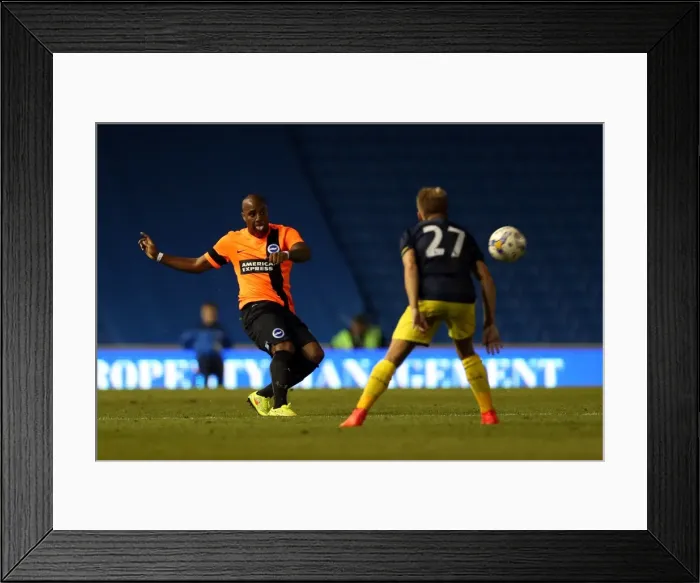 Framed Print : Brighton & Hove Albion FC: Pre-Season Training July 2014 Framed Print : Brighton & Hove Albion FC: Pre-Season Training July 2014