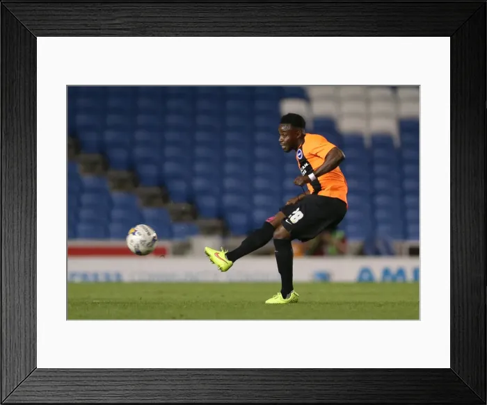 Framed Print : Brighton & Hove Albion FC: Pre-Season Training July 2014