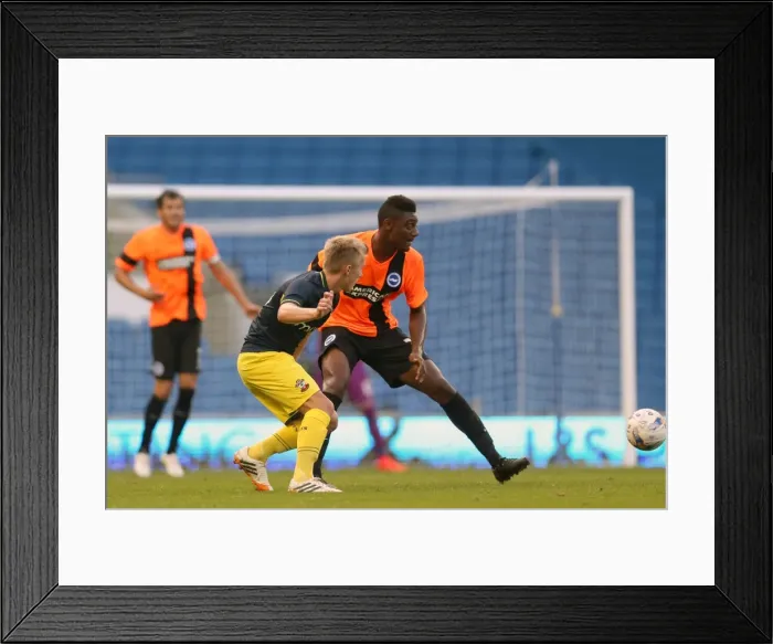 Framed Print : Brighton & Hove Albion FC: Pre-Season Training July 2014 Framed Print : Brighton & Hove Albion FC: Pre-Season Training July 2014
