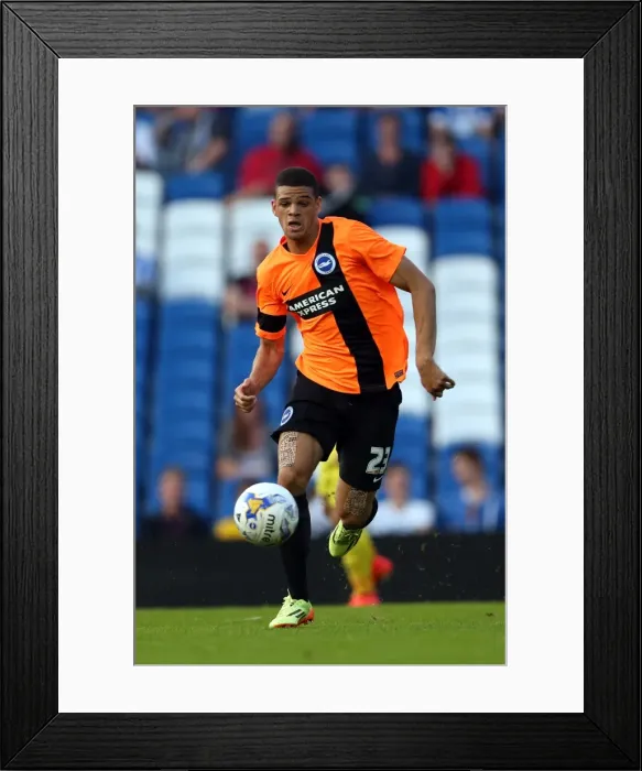 Framed Print : Brighton & Hove Albion FC: Pre-Season Training July 2014 Framed Print : Brighton & Hove Albion FC: Pre-Season Training July 2014